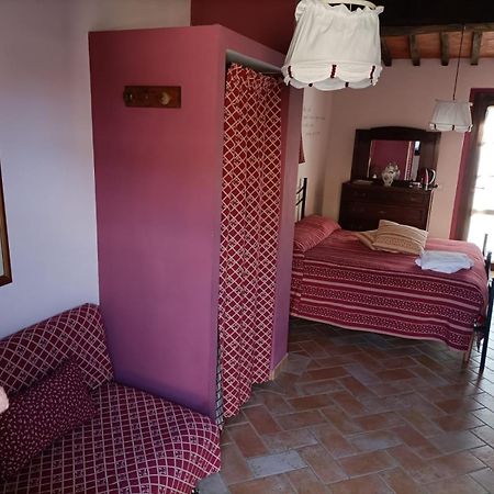Agriturismo Scannano Serre Di Rapolano Esterno foto