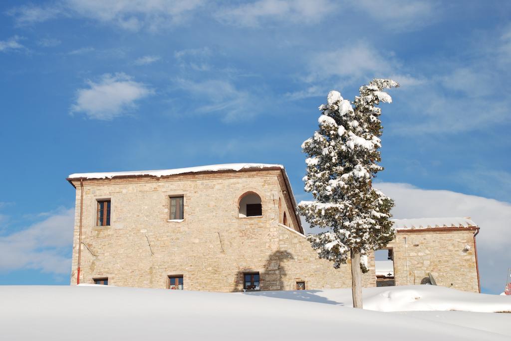 Agriturismo Scannano Serre Di Rapolano Esterno foto