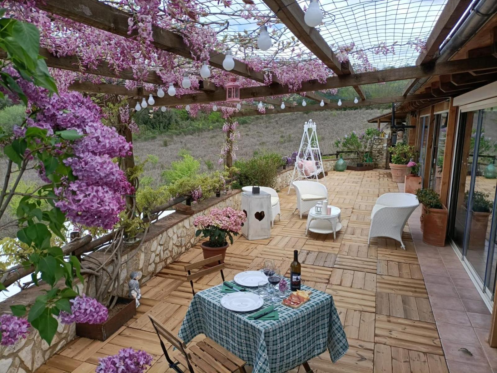 Agriturismo Scannano Serre Di Rapolano Esterno foto