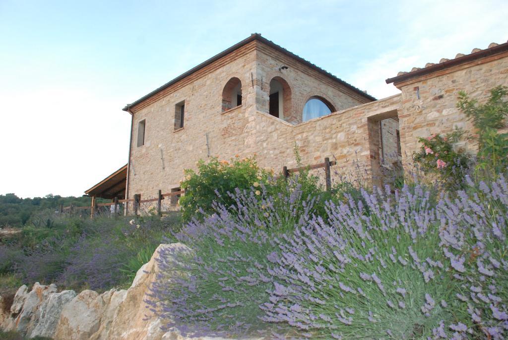 Agriturismo Scannano Serre Di Rapolano Esterno foto