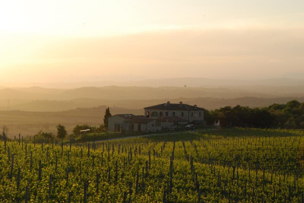 Agriturismo Scannano Serre Di Rapolano Esterno foto